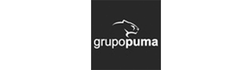 GRUPO PUMA