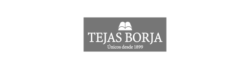 TEJAS BORJA